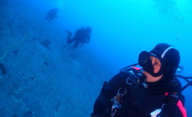 ダイブテリーズ