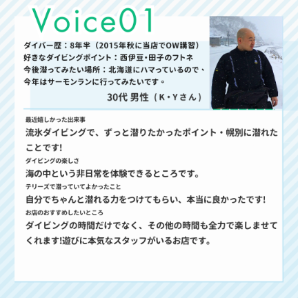 ダイブテリーズ