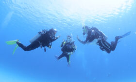 ダイブテリーズ