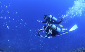 ダイブテリーズ