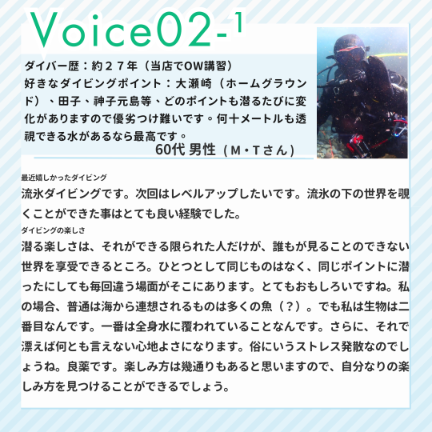 ダイブテリーズ