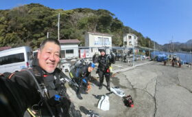 ダイブテリーズ