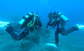 ダイブテリーズ