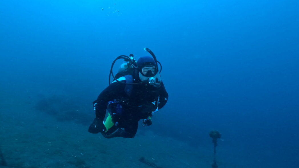 ダイブテリーズ