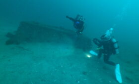 ダイブテリーズ