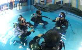 ダイブテリーズ