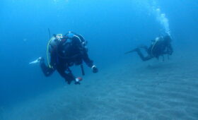 ダイブテリーズ