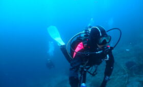 ダイブテリーズ