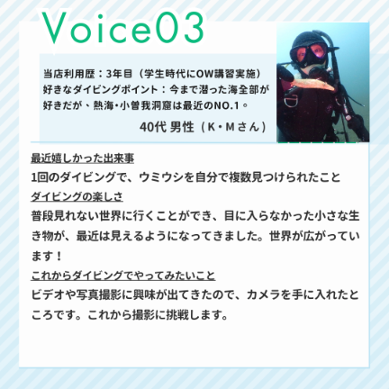 ダイブテリーズ