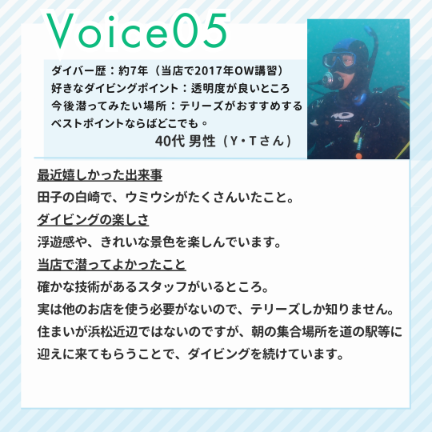 ダイブテリーズ