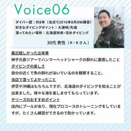 ダイブテリーズ