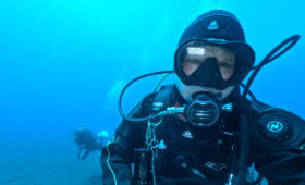 ダイブテリーズ