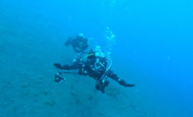 ダイブテリーズ