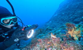 ダイブテリーズ