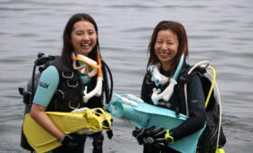 ダイブテリーズ