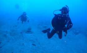 ダイブテリーズ