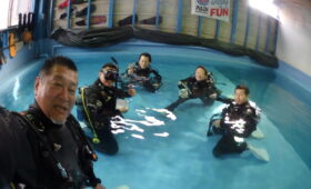 ダイブテリーズ