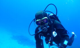 ダイブテリーズ