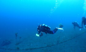 ダイブテリーズ