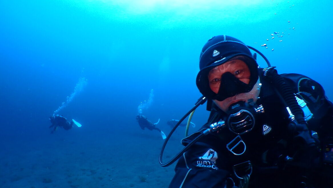 ダイブテリーズ