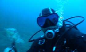 ダイブテリーズ