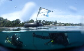 ダイブテリーズ