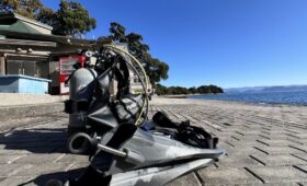 ダイブテリーズ