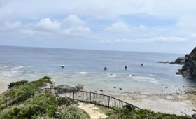 ダイブテリーズ