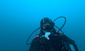 ダイブテリーズ