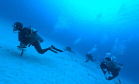 ダイブテリーズ