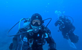 ダイブテリーズ