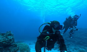 ダイブテリーズ