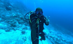 ダイブテリーズ