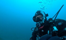 ダイブテリーズ