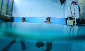 ダイブテリーズ