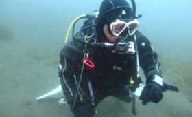 ダイブテリーズ