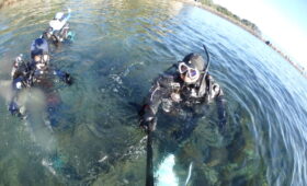 ダイブテリーズ