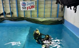 ダイブテリーズ