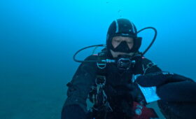 ダイブテリーズ