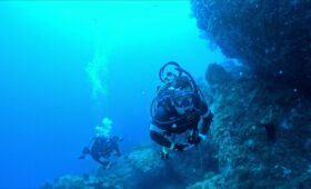 ダイブテリーズ