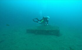 ダイブテリーズ