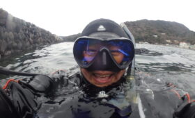 ダイブテリーズ