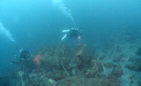 ダイブテリーズ