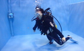 ダイブテリーズ