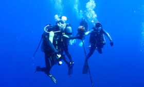 ダイブテリーズ