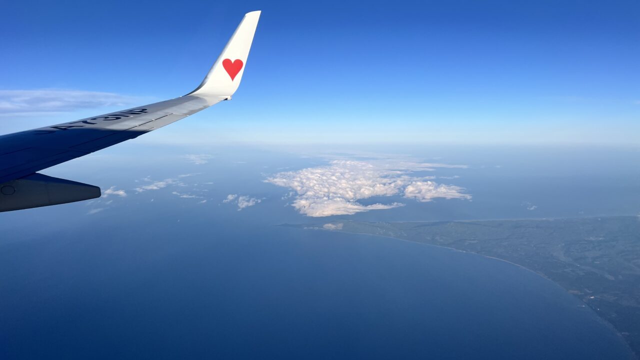 ダイブテリーズ