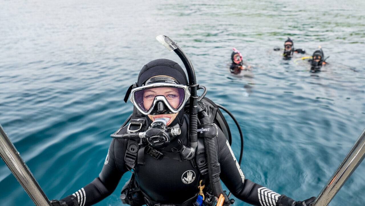 ダイブテリーズ