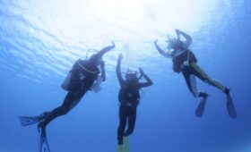 ダイブテリーズ