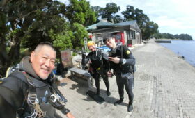 ダイブテリーズ