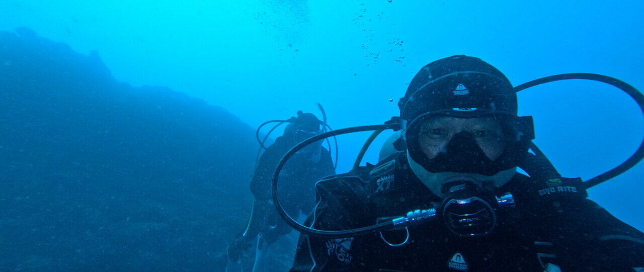 ダイブテリーズ